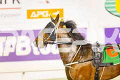 2025_PACEPIX_GP05082025_RACE6_KaraokeStar_WIN_WEB-14