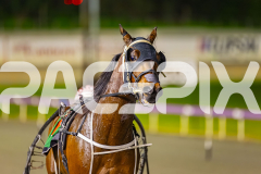 2025_PACEPIX_GP05082025_RACE6_KaraokeStar_WIN_WEB-16