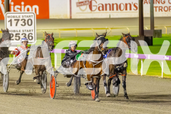 2025_PACEPIX_GP05082025_RACE6_KaraokeStar_WIN_WEB-5