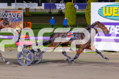2026_PACEPIX_GP19052026_RACE6_Katama_WIN_WEB-10
