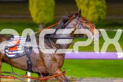 2026_PACEPIX_GP19052026_RACE6_Katama_WIN_WEB-13