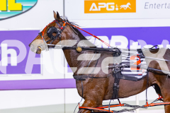 2026_PACEPIX_GP19052026_RACE6_Katama_WIN_WEB-16