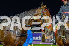 2026_PACEPIX_GP19052026_RACE6_Katama_WIN_WEB-20