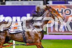 2026_PACEPIX_GP19052026_RACE6_Katama_WIN_WEB-3