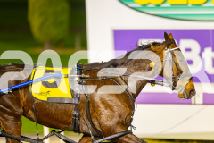 RACE 6 - Kinky
