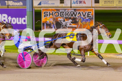 2025_PACEPIX_GP24062025_RACE6_Kinky_WIN_WEB-11-GP_WEB-RES-EXPORT-2