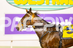 2025_PACEPIX_GP24062025_RACE6_Kinky_WIN_WEB-16-GP_WEB-RES-EXPORT-2