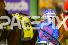 2025_PACEPIX_GP24062025_RACE6_Kinky_WIN_WEB-17-GP_WEB-RES-EXPORT-2