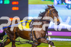 2025_PACEPIX_GP24062025_RACE6_Kinky_WIN_WEB-6-GP_WEB-RES-EXPORT-2