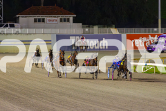 2025_PACEPIX_GP24062025_RACE6_Kinky_WIN_WEB-7-GP_WEB-RES-EXPORT-2