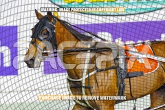 2026_PACEPIX_GP09102026_RACE6_Koojan_WIN_WEB-14