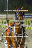 2026_PACEPIX_GP09102026_RACE6_Koojan_WIN_WEB-17