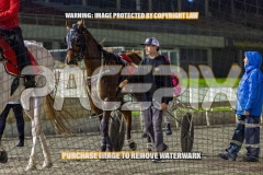 2026_PACEPIX_GP09102026_RACE6_Koojan_WIN_WEB-20
