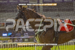 2026_PACEPIX_GP09102026_RACE6_Koojan_WIN_WEB-22