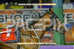 2026_PACEPIX_GP09102026_RACE6_Koojan_WIN_WEB-4