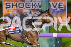 2026_PACEPIX_GP15052026_Race6_Koojan_WIN_WEB-11
