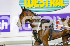 2026_PACEPIX_GP15052026_Race6_Koojan_WIN_WEB-12
