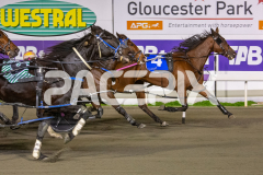 Lady-Camel_09-06-2026_WIN_Gloucester-Park_6__01
