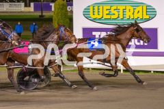 Lady-Camel_09-06-2026_WIN_Gloucester-Park_6__02