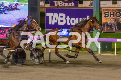 Lady-Camel_09-06-2026_WIN_Gloucester-Park_6__04