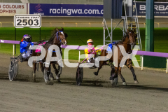 Lady-Camel_09-06-2026_WIN_Gloucester-Park_6__06