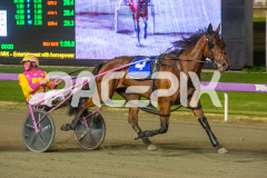 Lady-Camel_09-06-2026_WIN_Gloucester-Park_6__07