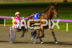 Lady-Camel_09-06-2026_WIN_Gloucester-Park_6__10