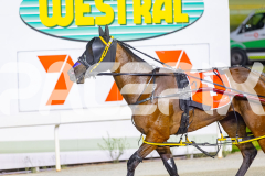 2025_PACEPIX_GP23012026_Race6_LenoraJane_WIN_WEB-10