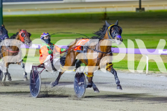 2025_PACEPIX_GP23012026_Race6_LenoraJane_WIN_WEB-3