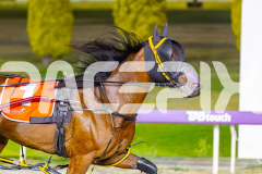 2025_PACEPIX_GP23012026_Race6_LenoraJane_WIN_WEB-8