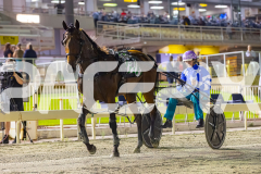 RACE 6 - Little Darling