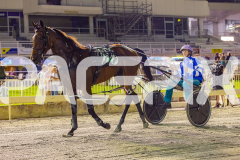 2026_PACEPIX_GP20022026_WEB-112