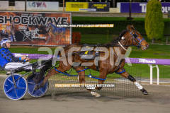 lord-Vincentius_04-08-2026_WIN_Gloucester-Park_6__06