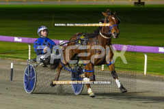 lord-Vincentius_04-08-2026_WIN_Gloucester-Park_6__08