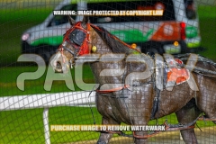 2026_PACEPIX_GP18092026_RACE6_AltaAllure_WIN_WEB-11