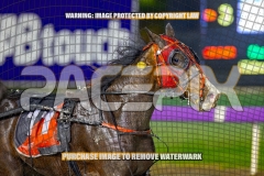 2026_PACEPIX_GP18092026_RACE6_AltaAllure_WIN_WEB-9