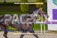 2026_PACEPIX_GP13102026_RACE6_LucyVictoria_WIN_WEB-11