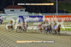 2026_PACEPIX_GP13102026_RACE6_LucyVictoria_WIN_WEB-2
