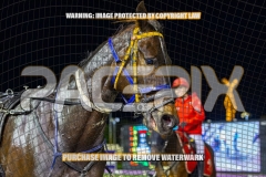 2026_PACEPIX_GP13102026_RACE6_LucyVictoria_WIN_WEB-20