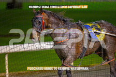 2026_Pacepix_GP07082026_WEB-66