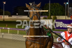 Mad-Punta_20-10-2026_WIN_Gloucester-Park_6__02
