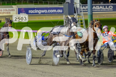 Gloucester Park - 14/07/2026
