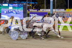 RACE 6 - Madam Tiger