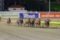 2026_PACEPIX_GP14072026_RACE6_MadamTiger_WIN_WEB-1