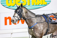 2026_PACEPIX_GP14072026_RACE6_MadamTiger_WIN_WEB-13