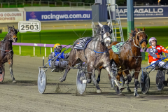 2026_PACEPIX_GP14072026_RACE6_MadamTiger_WIN_WEB-3
