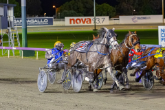 2026_PACEPIX_GP14072026_RACE6_MadamTiger_WIN_WEB-4