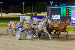 2026_PACEPIX_GP14072026_RACE6_MadamTiger_WIN_WEB-5