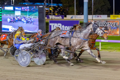 2026_PACEPIX_GP14072026_RACE6_MadamTiger_WIN_WEB-6