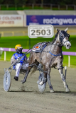 2026_PACEPIX_GP14072026_RACE6_MadamTiger_WIN_WEB-8